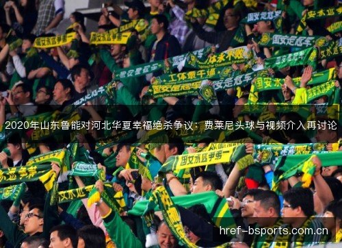 2020年山东鲁能对河北华夏幸福绝杀争议：费莱尼头球与视频介入再讨论